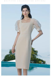 Translucent Puff Sleeves With Elegance Sheath Dress